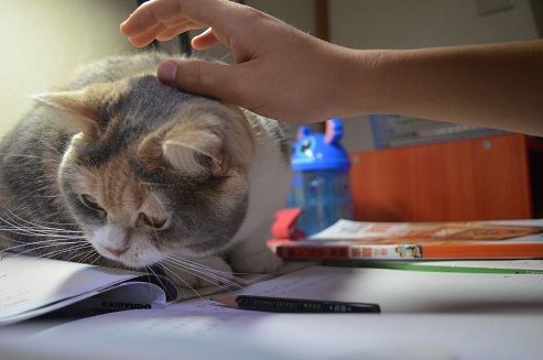 2012.5.5.jya4.jpg