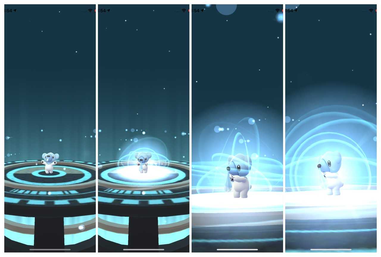 クマシュン進化 一筆啓上ヒメグマ日記 楽天ブログ