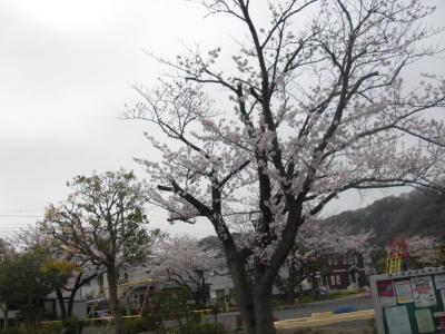 IMG_0001_283.jpg