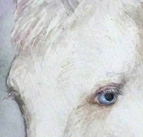 unicorneyeblog.jpg
