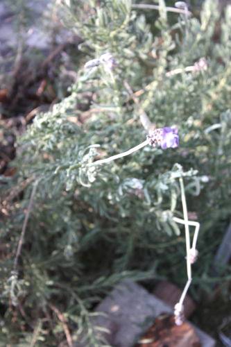 2015011102.JPG