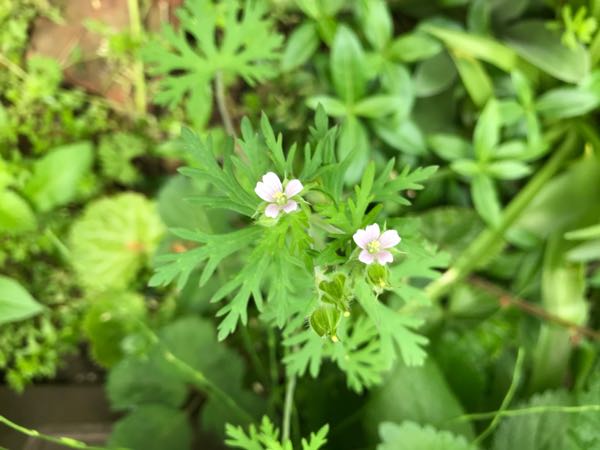 rblog-20180430174711-02.jpg