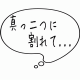 真っ二つに割れて・・・.gif