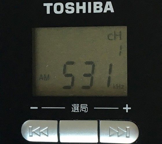 TOSHIBA TY-SPR1（AM/FMラジオ） | ひとりごと程度のラジオ生活