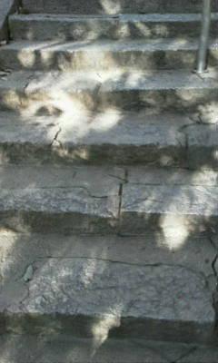 20130126151341.jpg