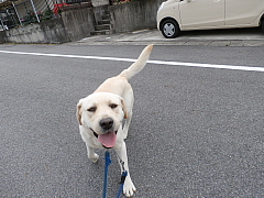 conv0719.JPG