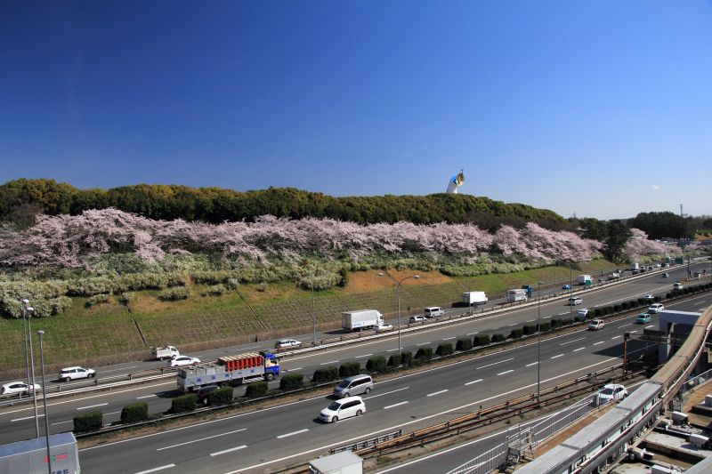 万博記念公園_003.jpg