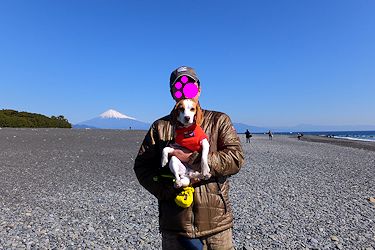 20160210三保