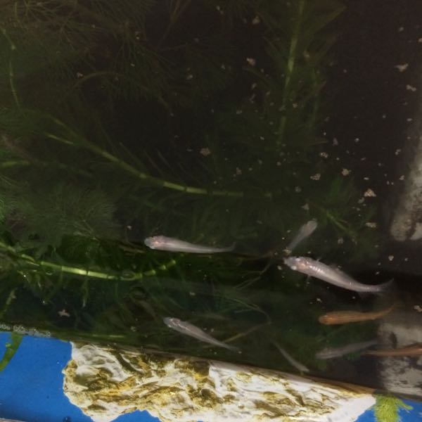 rblog-20150925115512-02.jpg