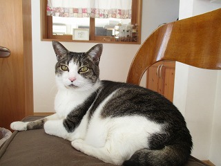 IMG_5693ss.jpg