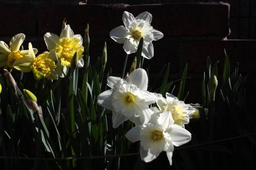 2015032904.JPG
