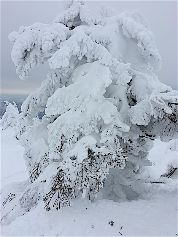 rblog-20160123153943-04.jpg