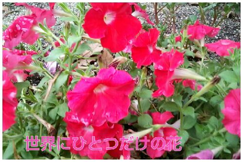 rblog-20160920100023-00.jpg