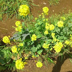 2012.04.28.2 - コピー.JPG