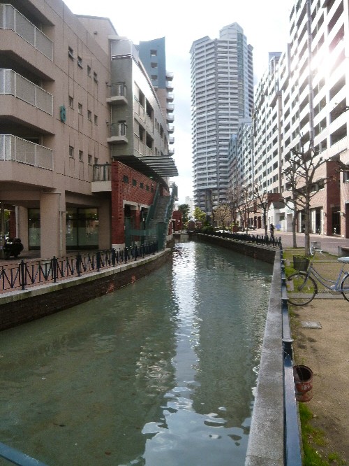 P1080756(1).JPG