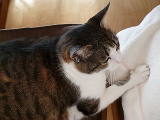 P1300247ss.jpg