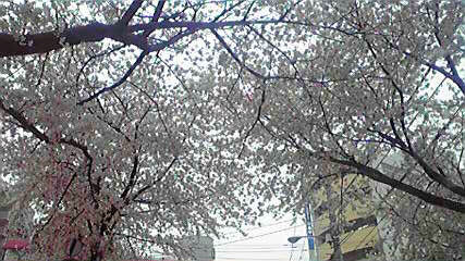 常盤平３