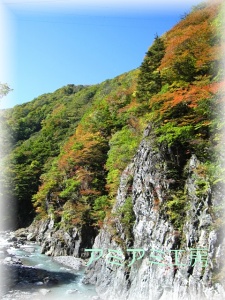 秋山郷_9