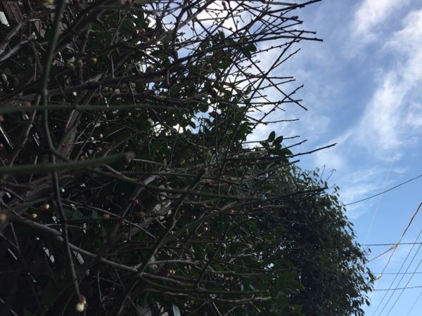 rblog-20190111191241-01.jpg