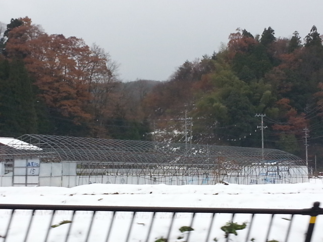 20131201大山1.jpg