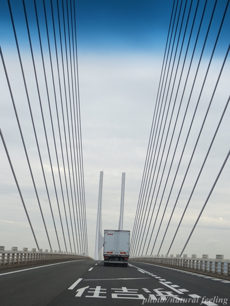 3高野山5号湾岸線住吉浜5.JPG