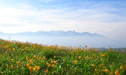 20130721八ヶ岳