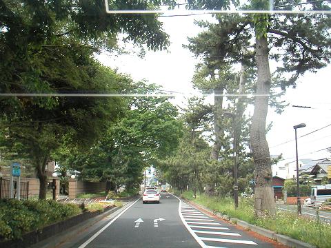 2012.05.21 021.jpg