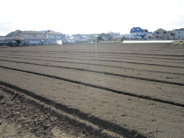 20120219農園.jpg