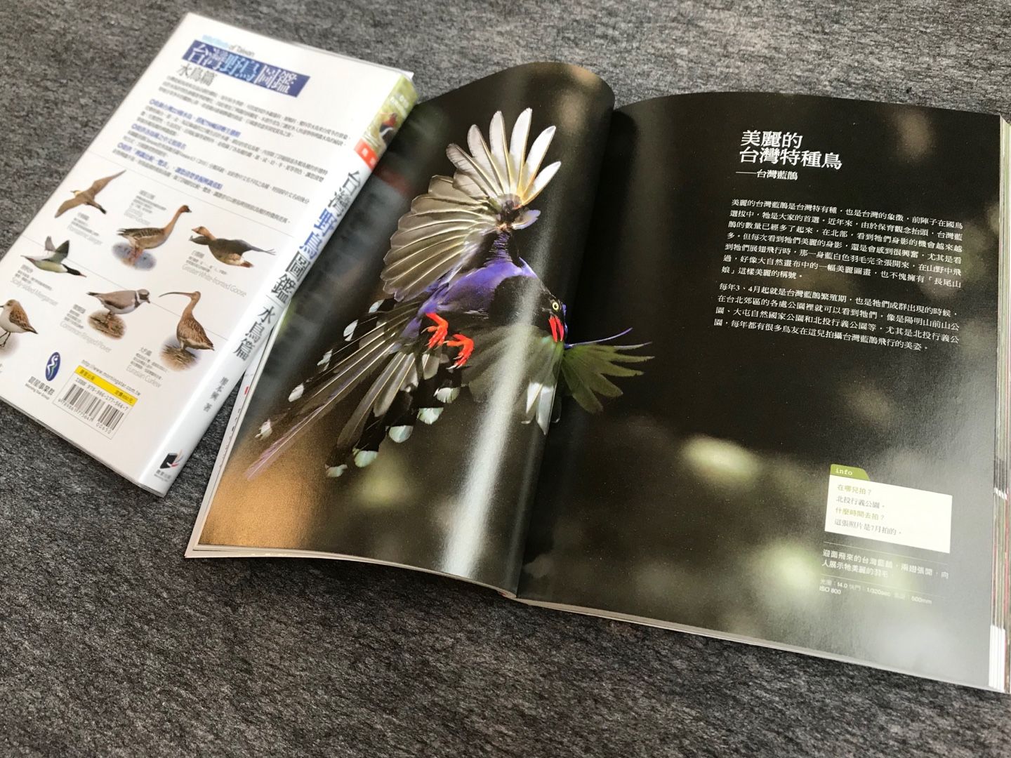 台湾野鳥図鑑 | のん木ぶろぐ - 楽天ブログ
