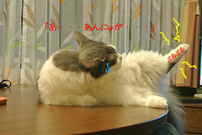 mumu4.jpg
