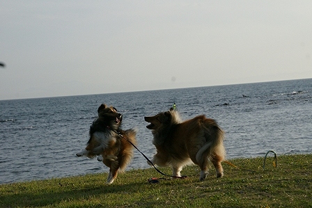 DSC00555.jpg