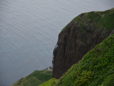 横顔（礼文島）