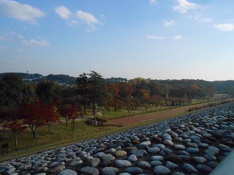 DSCN5716.jpg