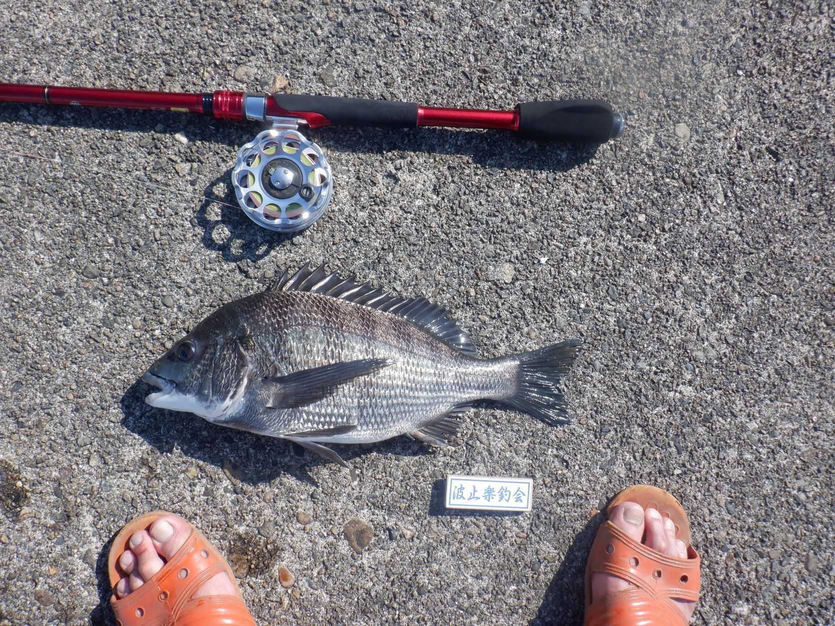 土曜日のヘチ釣り 夕方の下げでちょっとだけ たかおかさんのぶろぐ 其の弐 楽天ブログ