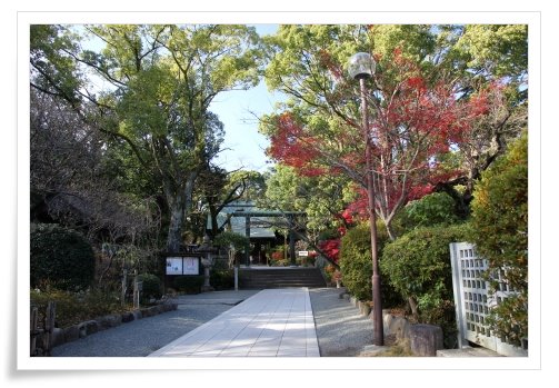 報徳二宮神社-3 14.12.15