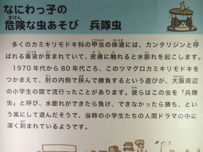 大阪市立自然史博物館2014年8月上旬22　危険な虫あそび