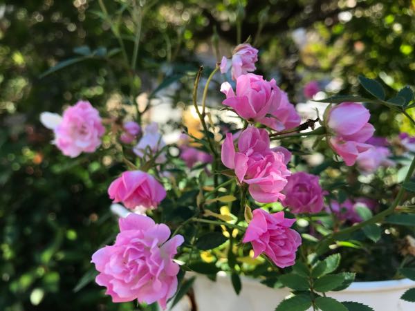 rblog-20181029111101-09.jpg
