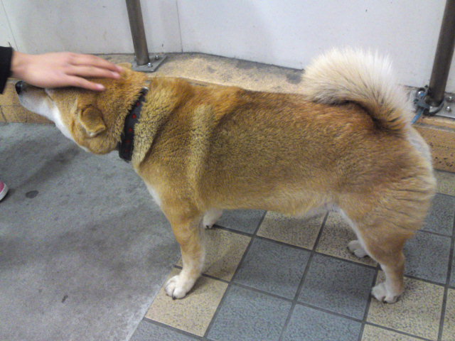 2012-02-25 09:33:49