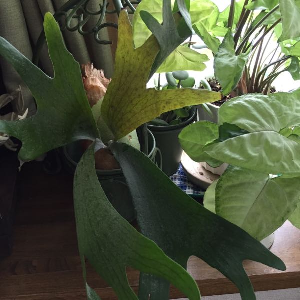rblog-20160905130038-04.jpg
