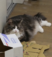 5DA_7011-16.jpg