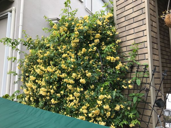 rblog-20190426181233-04.jpg