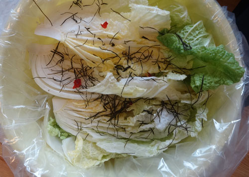 漬物白菜３.jpg