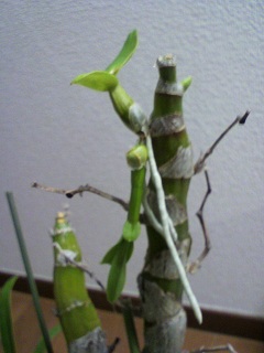 2013012500020000.jpg