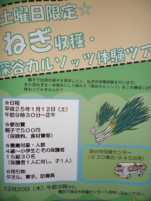 13年01月の記事一覧 深谷ねぎっこブログ 楽天ブログ