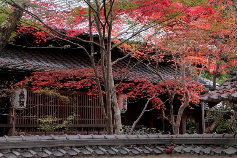 勝持寺_005琉璃光殿.jpg