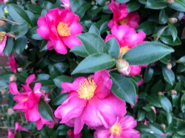 rblog-20181203161122-01.jpg