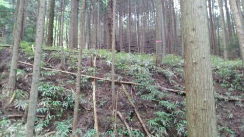 rblog-20180829172452-02.jpg
