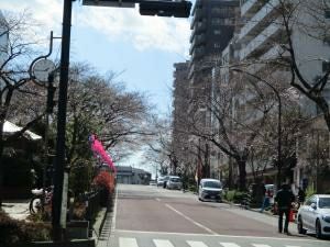 rblog-20190330071527-01.jpg