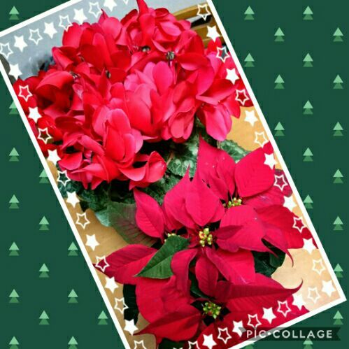 rblog-20171202211546-01.jpg