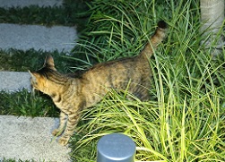 5DA_4793-20.jpg